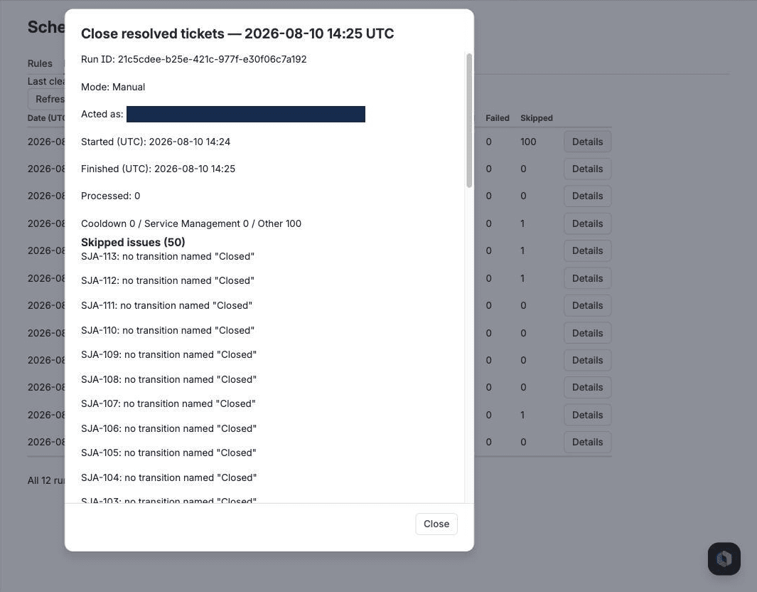 The details of a single run, listing each skipped issue together with the reason it was skipped.